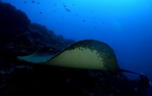 Foto Relacja z wyjazdu na Azory