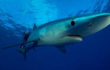 Foto Relacja z wyjazdu na Azory