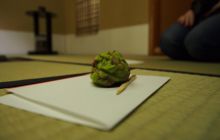 Zdjęcia z wyjazdu na Palau i Truk