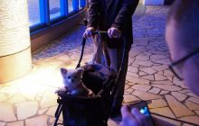 Zdjęcia z wyjazdu na Palau i Truk