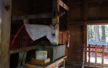 Zdjęcia z wyjazdu na Palau i Truk