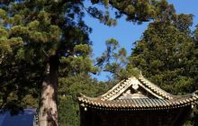 Zdjęcia z wyjazdu na Palau i Truk