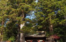 Zdjęcia z wyjazdu na Palau i Truk