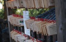 Zdjęcia z wyjazdu na Palau i Truk