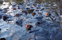 Zdjęcia z wyjazdu na Palau i Truk