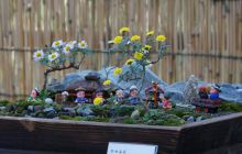 Zdjęcia z wyjazdu na Palau i Truk