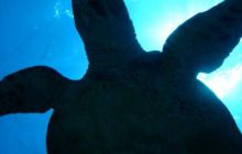 Zdjęcia z wyjazdu na Palau i Truk