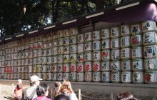 Zdjęcia z wyjazdu na Palau i Truk