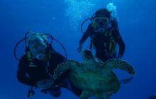 Zdjęcia z wyjazdu na Palau i Truk