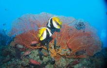 Zdjęcia z wyjazdu na Palau i Truk