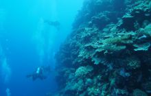 Zdjęcia z wyjazdu na Palau i Truk