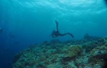 Zdjęcia z wyjazdu na Palau i Truk