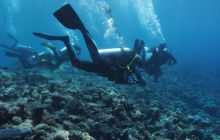 Zdjęcia z wyjazdu na Palau i Truk