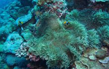 Zdjęcia z wyjazdu na Palau i Truk