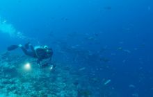 Zdjęcia z wyjazdu na Palau i Truk