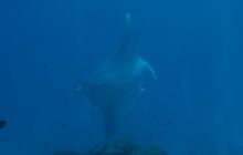 Zdjęcia z wyjazdu na Palau i Truk