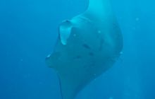 Zdjęcia z wyjazdu na Palau i Truk