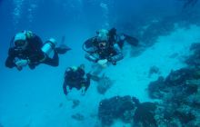 Zdjęcia z wyjazdu na Palau i Truk