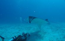 Zdjęcia z wyjazdu na Palau i Truk