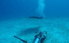 Zdjęcia z wyjazdu na Palau i Truk