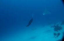 Zdjęcia z wyjazdu na Palau i Truk