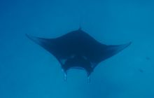 Zdjęcia z wyjazdu na Palau i Truk