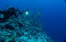 Zdjęcia z wyjazdu na Palau i Truk