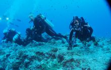 Zdjęcia z wyjazdu na Palau i Truk