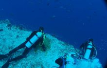 Zdjęcia z wyjazdu na Palau i Truk