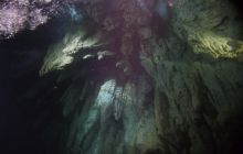 Zdjęcia z wyjazdu na Palau i Truk