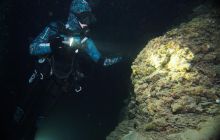 Zdjęcia z wyjazdu na Palau i Truk