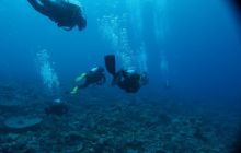 Zdjęcia z wyjazdu na Palau i Truk