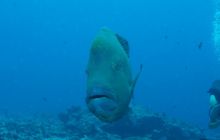 Zdjęcia z wyjazdu na Palau i Truk