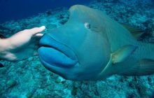 Zdjęcia z wyjazdu na Palau i Truk