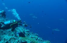 Zdjęcia z wyjazdu na Palau i Truk