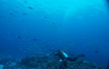 Zdjęcia z wyjazdu na Palau i Truk