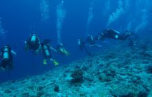 Zdjęcia z wyjazdu na Palau i Truk