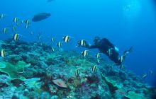 Zdjęcia z wyjazdu na Palau i Truk