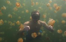 Zdjęcia z wyjazdu na Palau i Truk