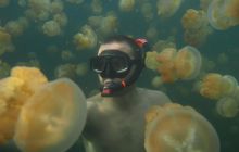 Zdjęcia z wyjazdu na Palau i Truk