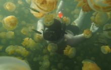 Zdjęcia z wyjazdu na Palau i Truk