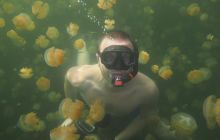 Zdjęcia z wyjazdu na Palau i Truk