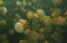 Zdjęcia z wyjazdu na Palau i Truk