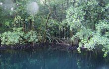 Zdjęcia z wyjazdu na Palau i Truk