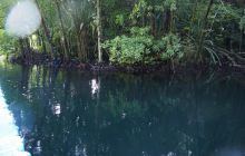 Zdjęcia z wyjazdu na Palau i Truk