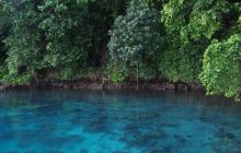 Zdjęcia z wyjazdu na Palau i Truk