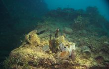 Zdjęcia z wyjazdu na Palau i Truk