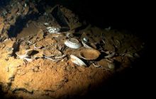 Zdjęcia z wyjazdu na Palau i Truk