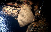 Zdjęcia z wyjazdu na Palau i Truk