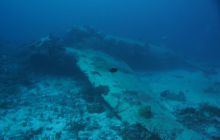 Zdjęcia z wyjazdu na Palau i Truk